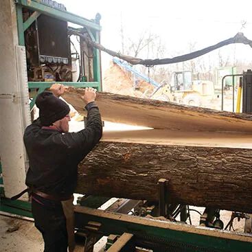 Bassett furniture maker cutting tree Bassett furniture maker cutting tree