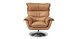 Swivel Arm Chair