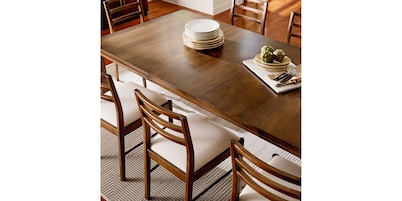 Origins Phelps Dining Chair