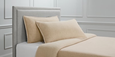 Basey Shams